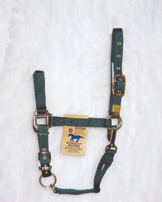 Hamilton Halter Adjustable Chin/Snap Yearling Blue