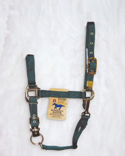 Hamilton Halter Adjustable Chin/Snap Yearling Blue