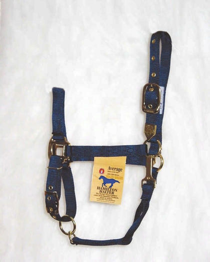 Hamilton Halter Adjustable Chin/Snap Yearling Blue