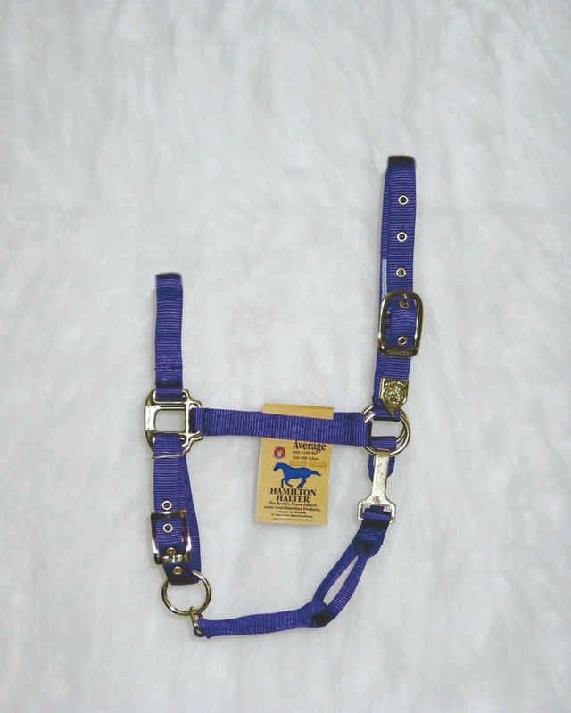 Hamilton Halter Adjustable Chin/Snap Yearling Blue
