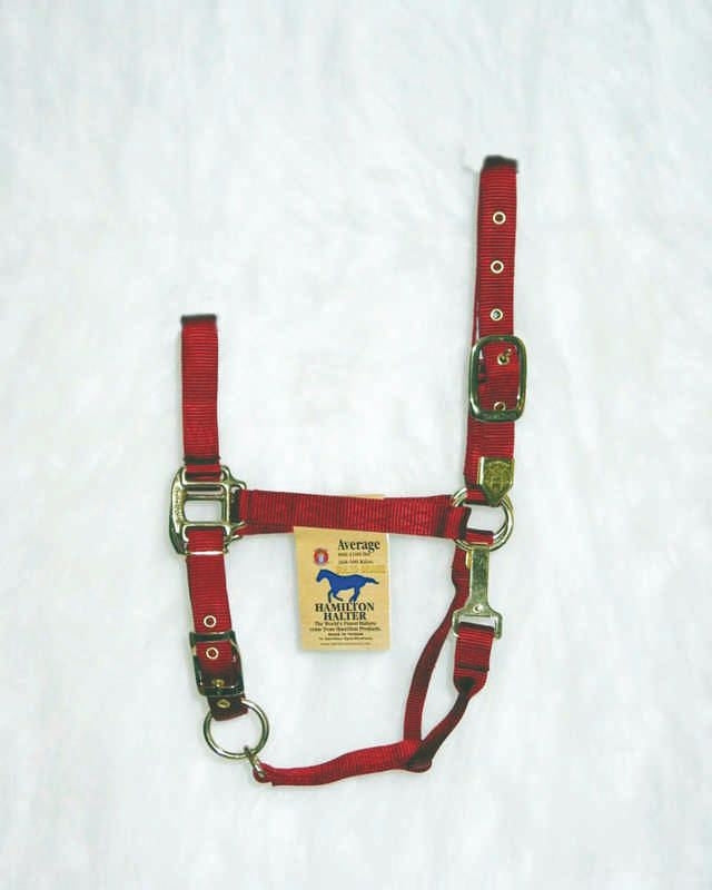 Hamilton Halter Adjustable Chin/Snap Yearling Blue
