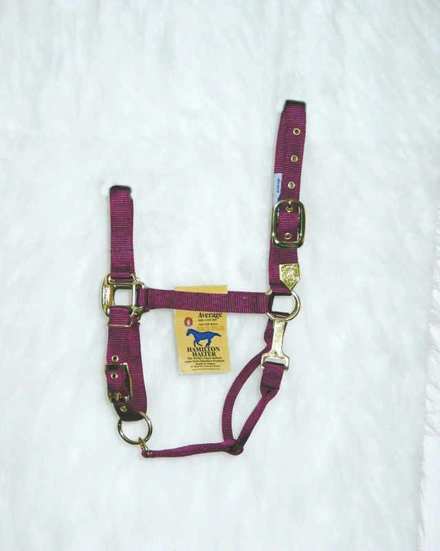 Hamilton Halter Adjustable Chin/Snap Yearling Blue