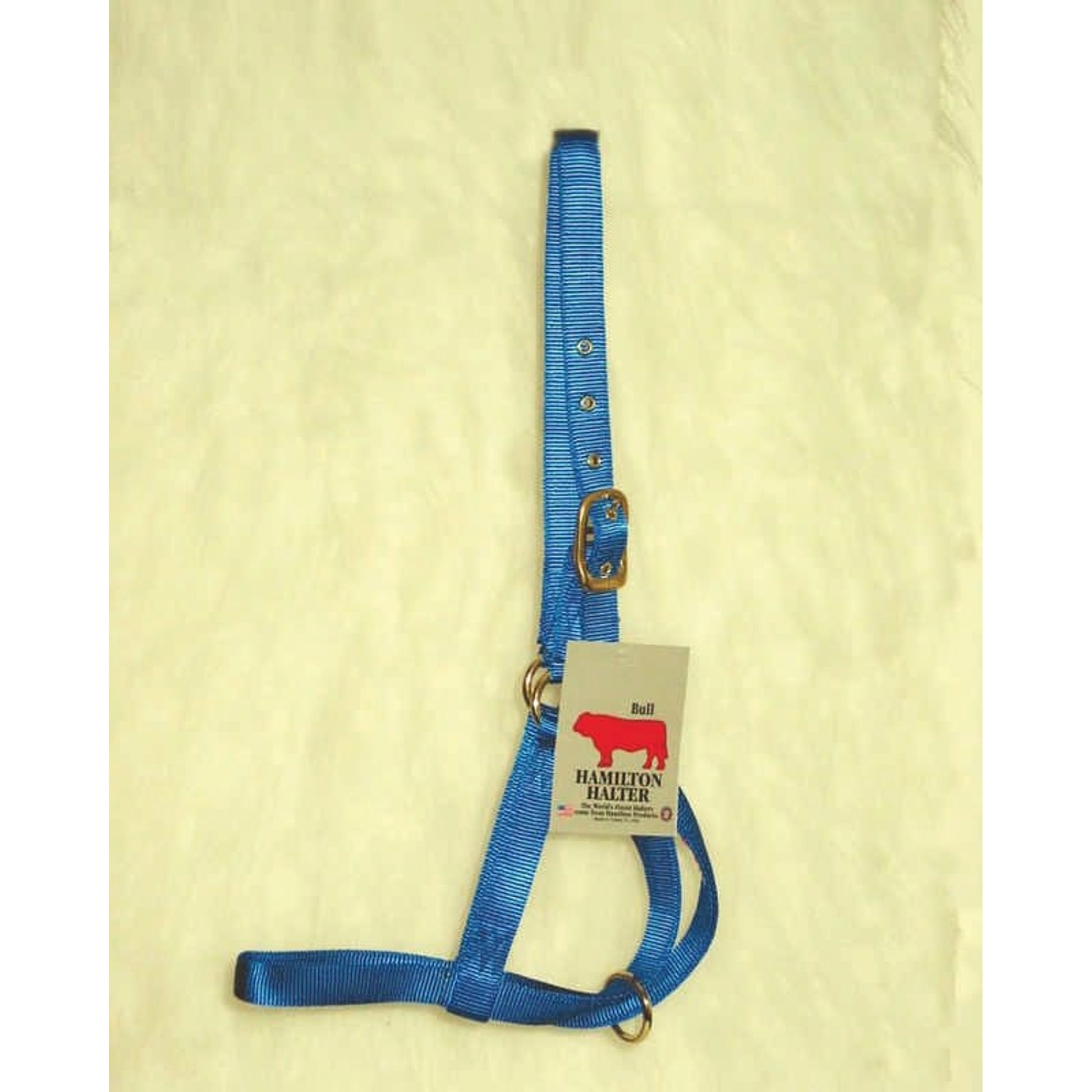 Bull Turn Out Halter 1 Inch Blue