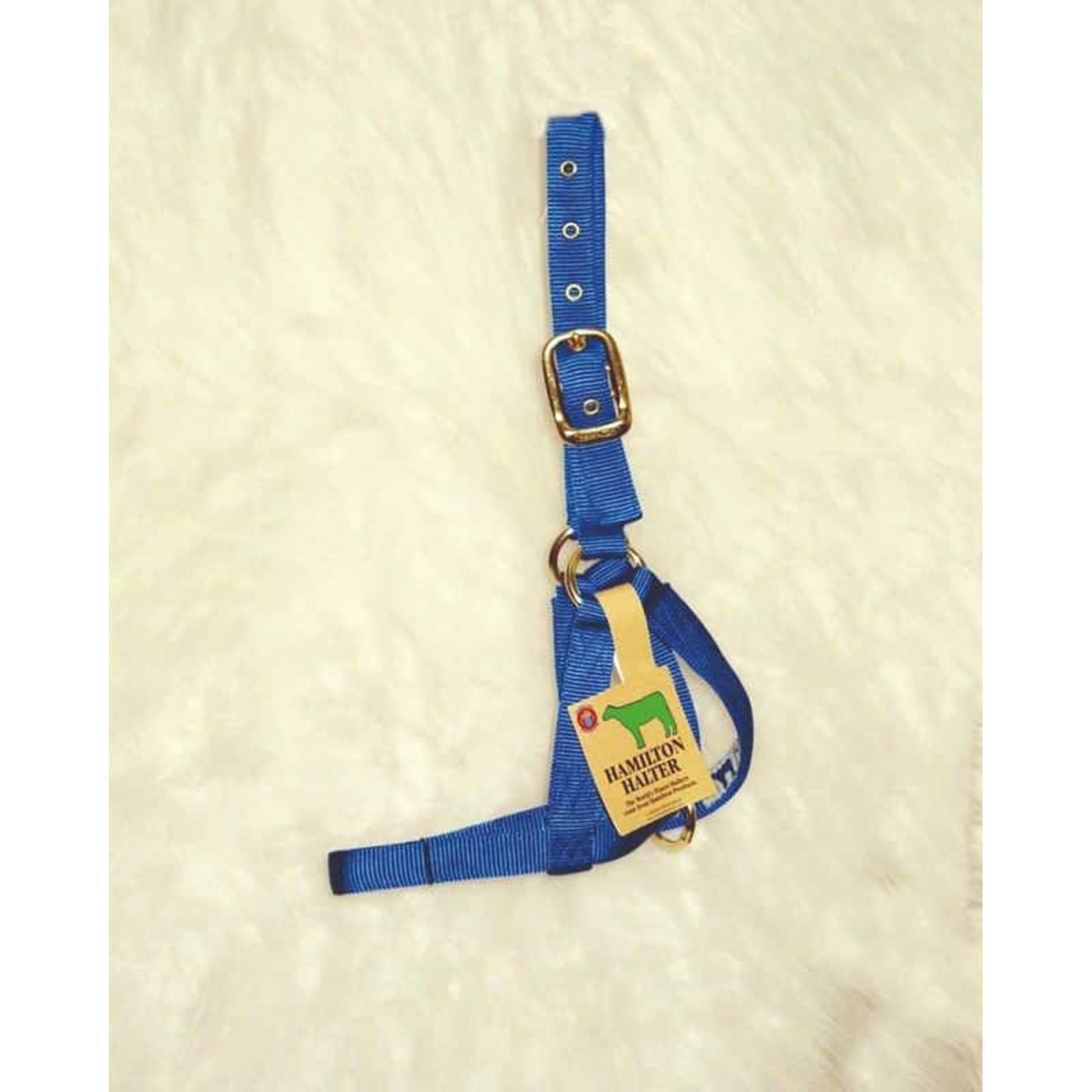 Calf Turn Out Halter 1In Blue