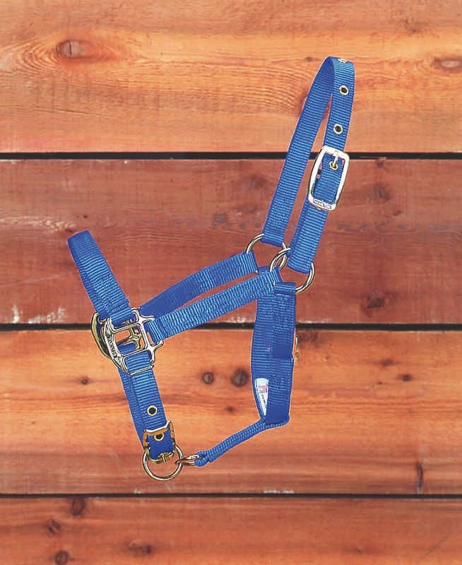 Halter Adjustable Chin