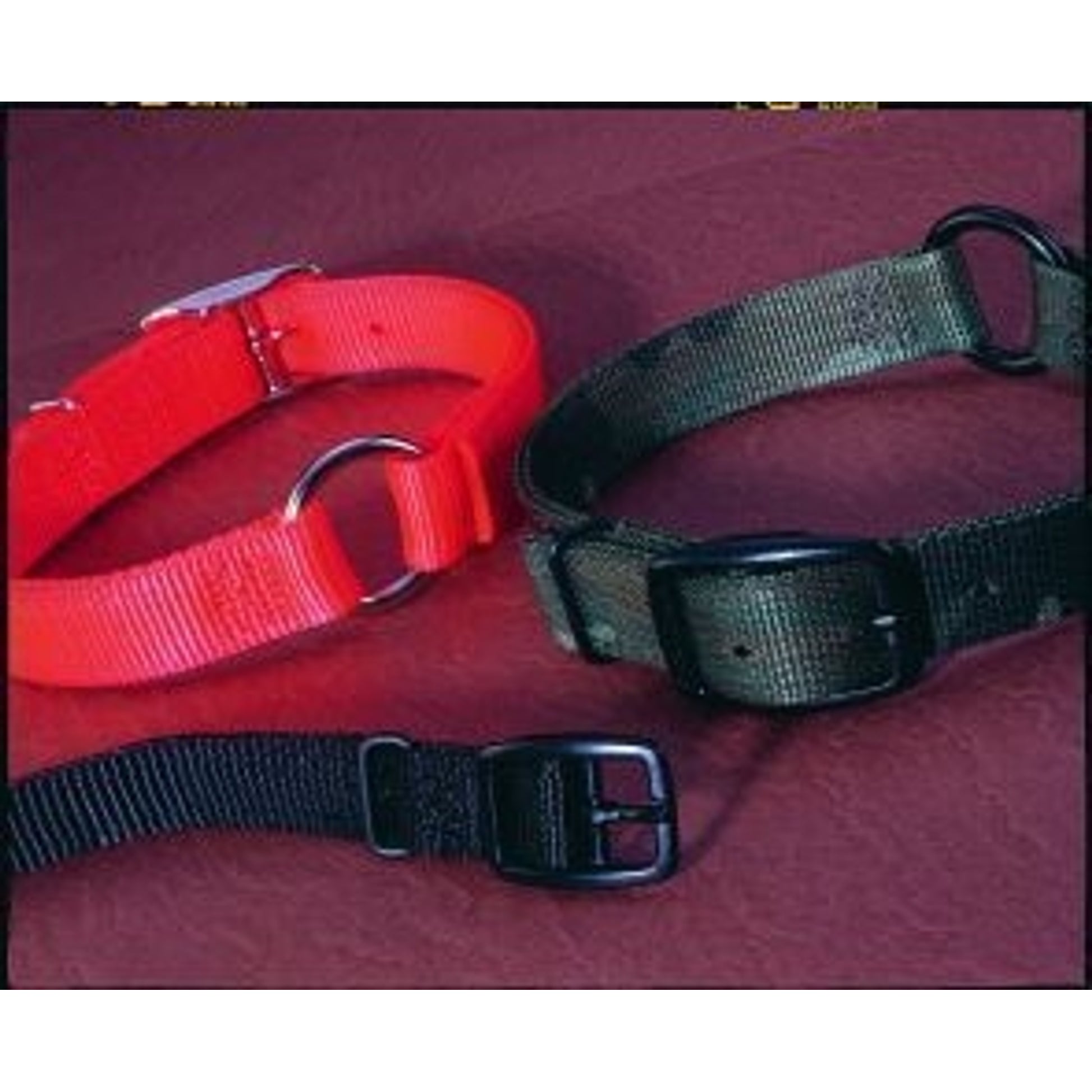 Safe-Rite Dog Collar With Tape 1 X26 Orange