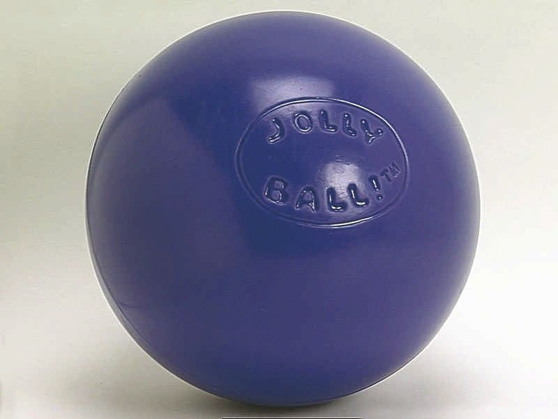 Jolly Pets Push-N-Play Jolly Ball