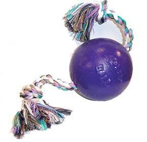 Jolly Pets Romp-n-Roll Ball 4.5 Inch