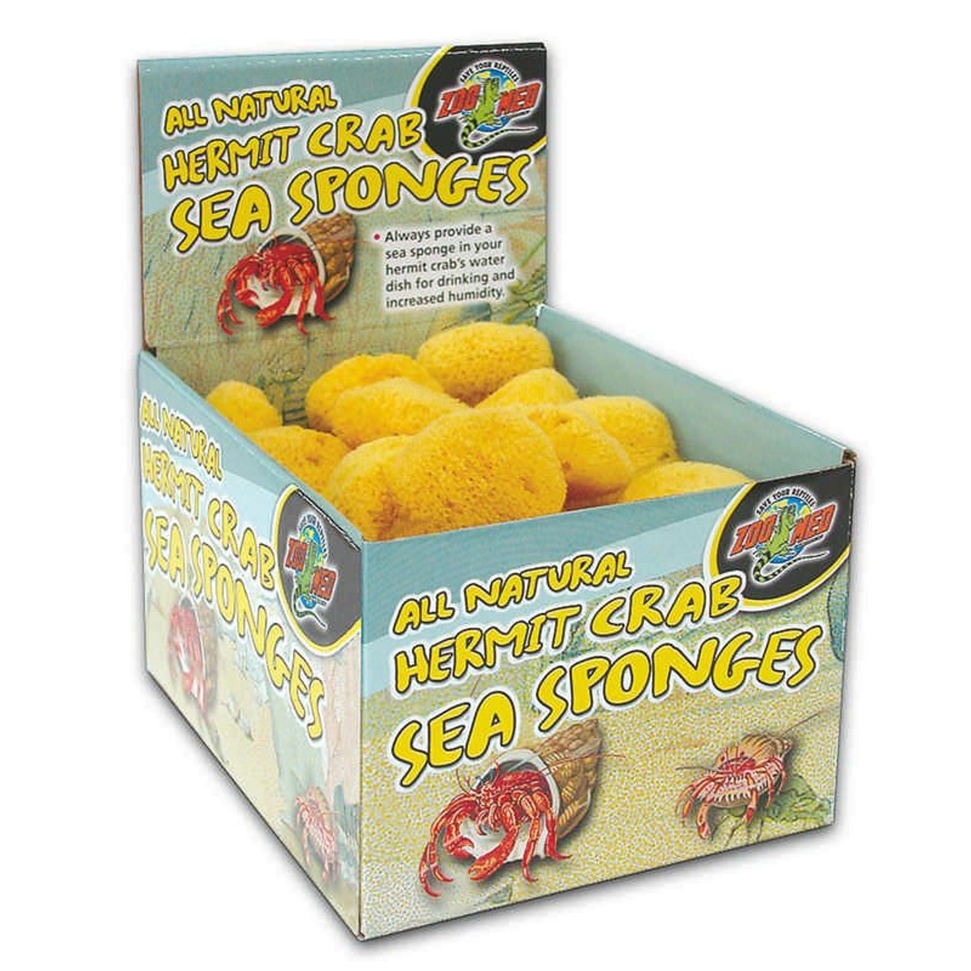 Hermit Crab Sponge 36 piece Natural