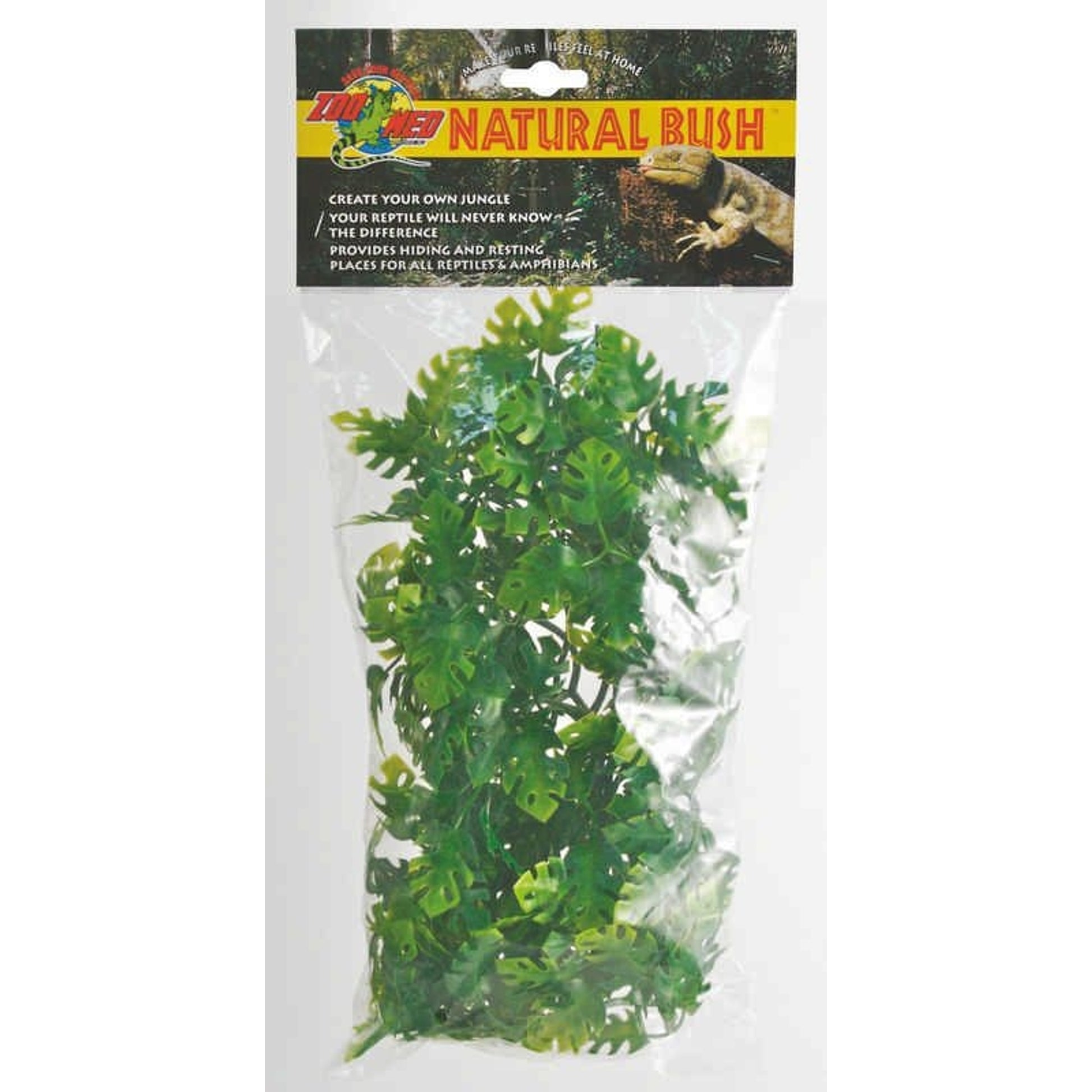 Plant Amazon Phyllos Medium Green