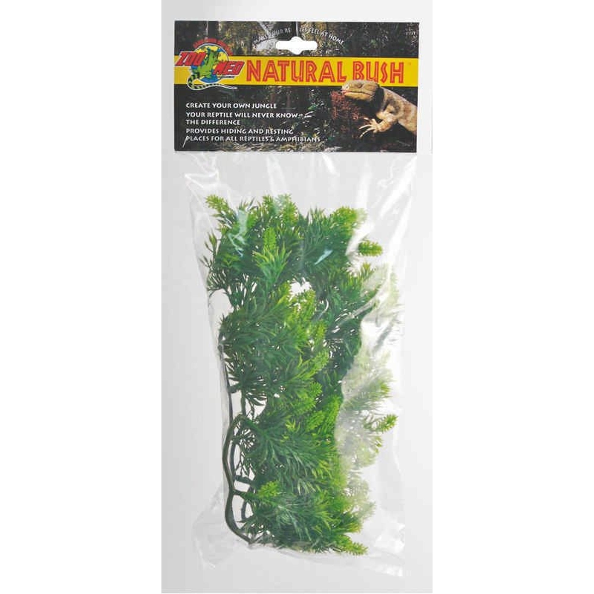 Plant Malaysian Fern Medium Green
