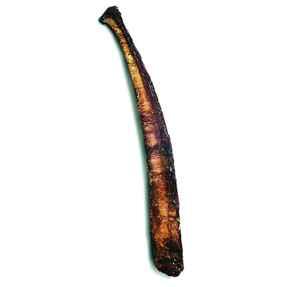 Shrink Wrapped Rib Bone 12