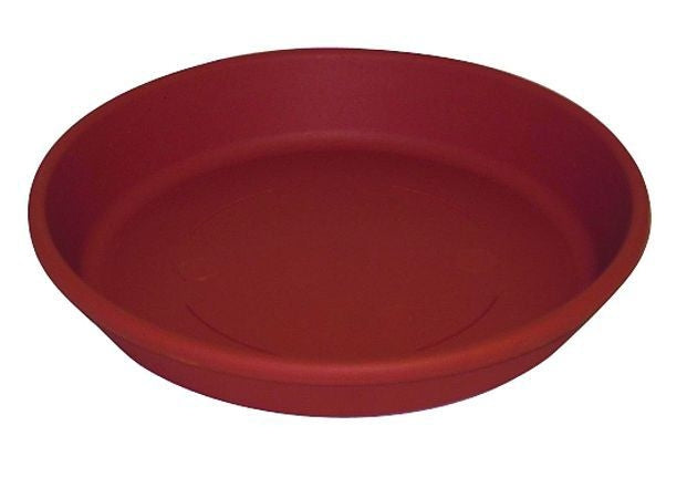 Classic Saucer 8 Inch Tan