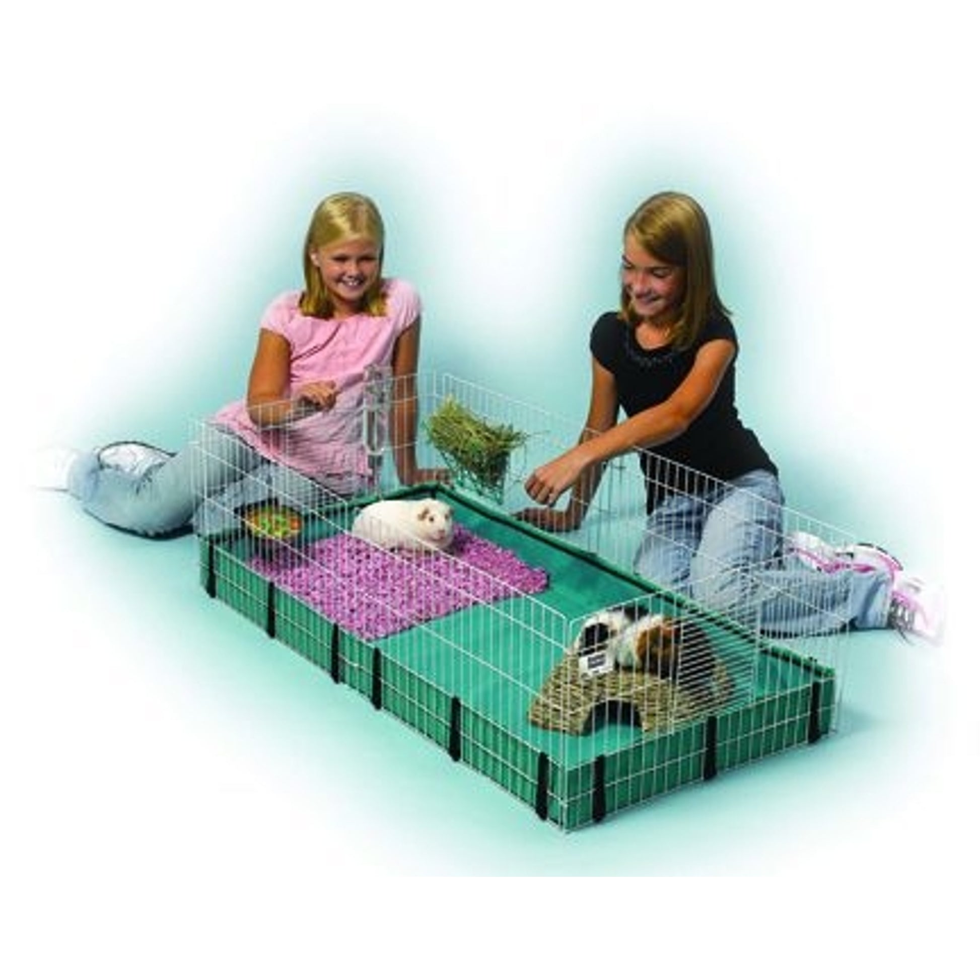 Midwest Guinea Habitat
