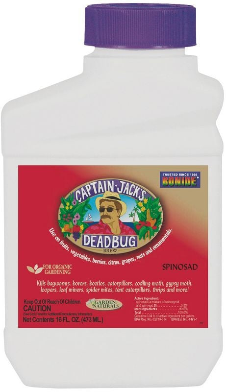 Captain Jack S Deadbug Brew Concentrate 16oz