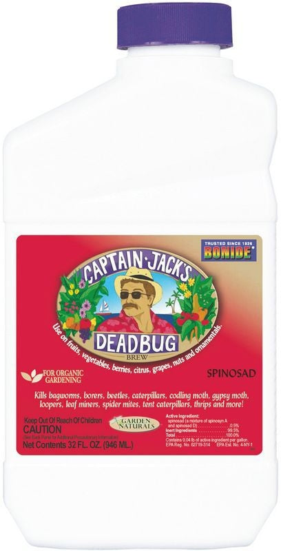 Captain Jack S Deadbug Brew Concentrate 16oz