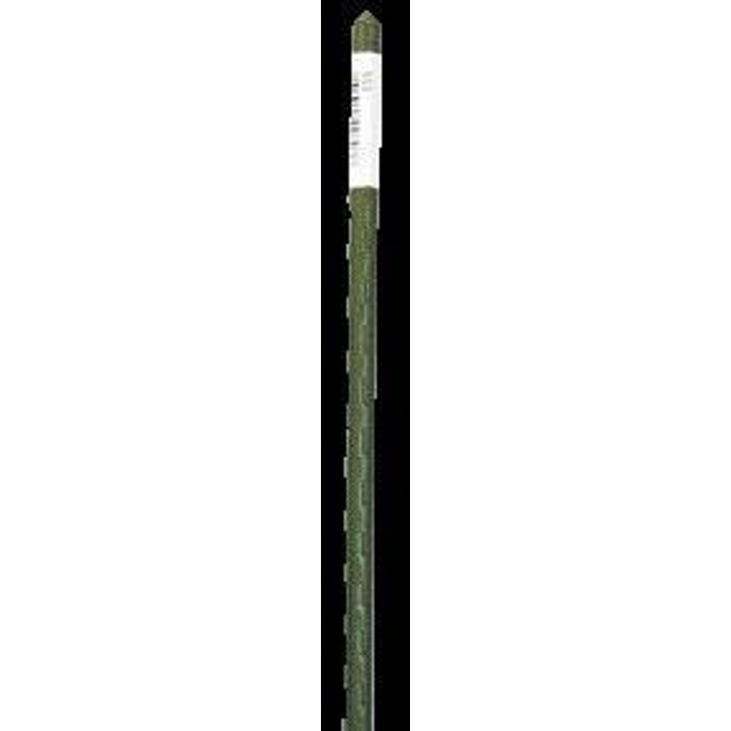TH410894.jpg