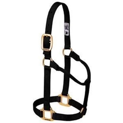 Weaver Org 3/4in Nylon Halter