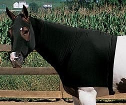 Weaver EquiSkinz Lycra Hood