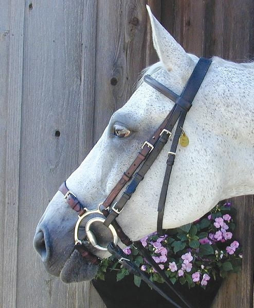 Nunn Finer Adj Lever Noseband Horse Blk/Zinc