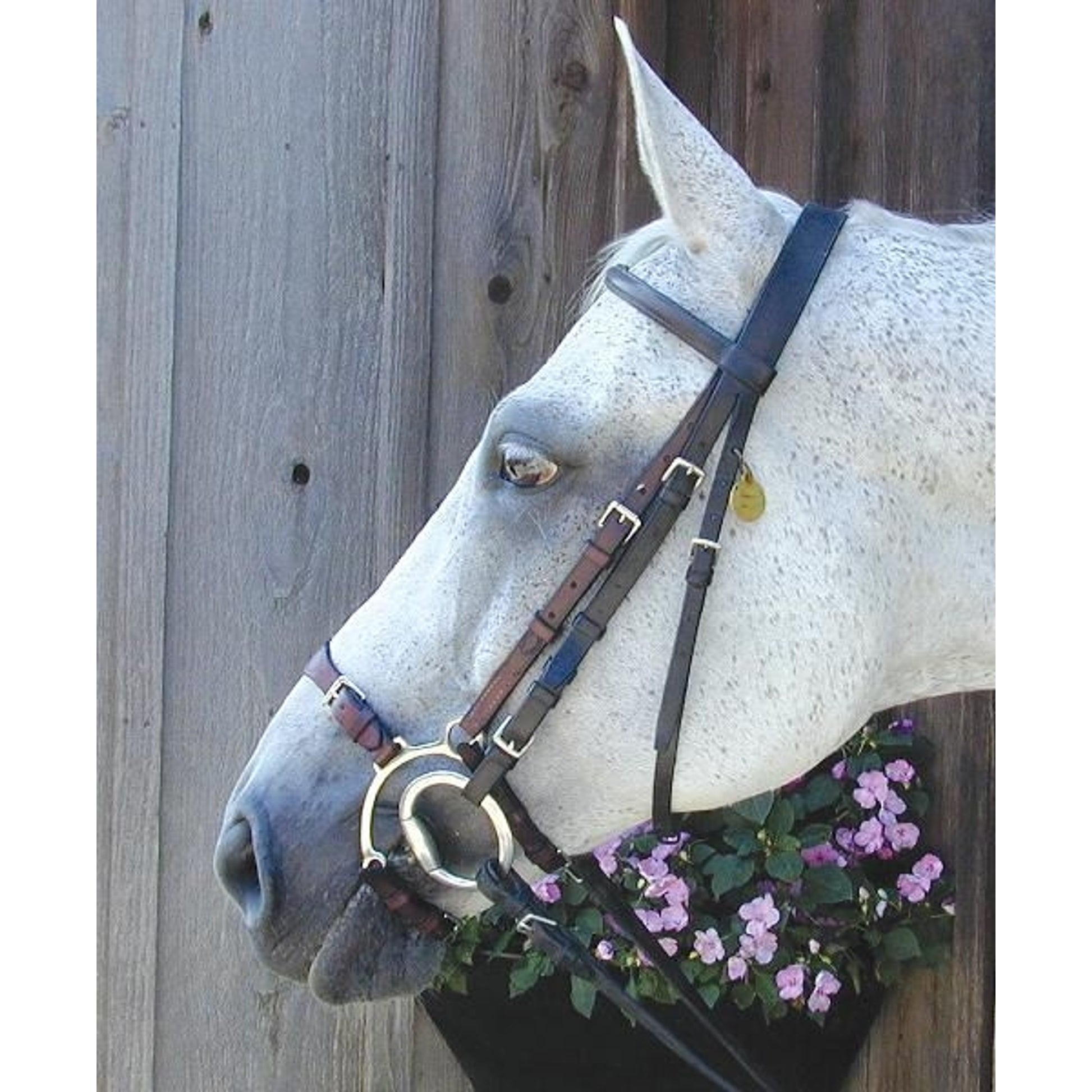 Nunn Finer Adj Lever Noseband Horse Blk/Zinc