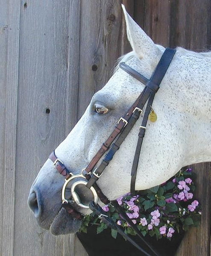 Nunn Finer Adj Lever Noseband Horse Blk/Zinc