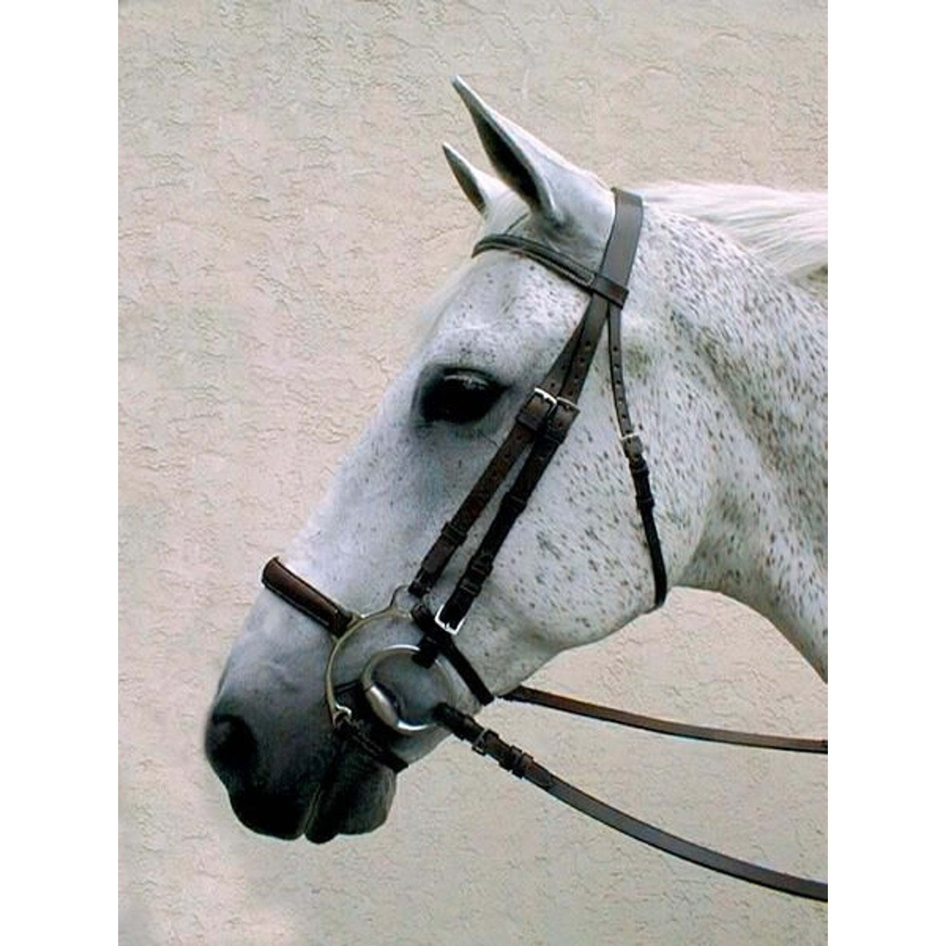 Nunn Finer Lever Noseband Horse Black/Zinc
