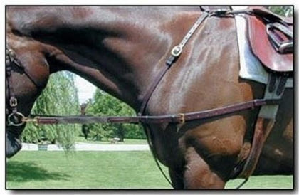 Nunn Finer Leather with Elastic Side Rein Horse Bk