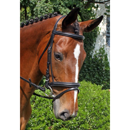 Nunn Finer Brentina Bridle Cob Black