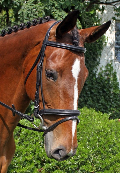 Nunn Finer Brentina Bridle Cob Black