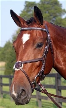 Nunn Finer Figure Eight Bridle Cob Black/Zinc