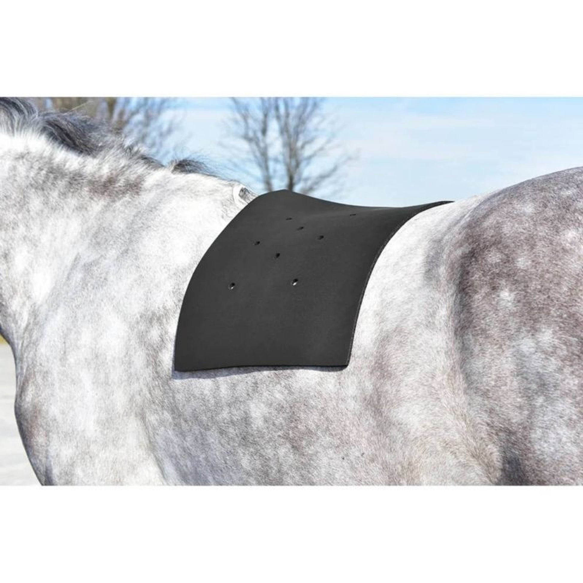 Flex Rider Neo Thin Saddle Pad Liner