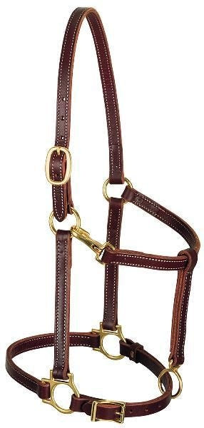 Weaver Track Halter Horse