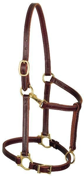 Weaver Track Halter Horse