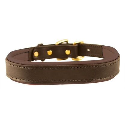 Perris Padded Leather Dog Collar