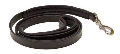 Perris Padded Leather Dog Leash