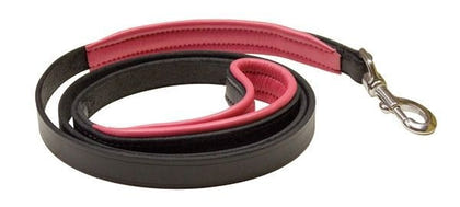 Perris Padded Leather Dog Leash