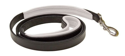 Perris Padded Leather Dog Leash