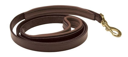 Perris Padded Leather Dog Leash