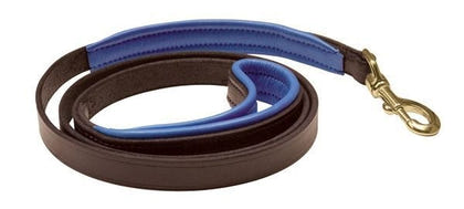 Perris Padded Leather Dog Leash