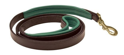 Perris Padded Leather Dog Leash