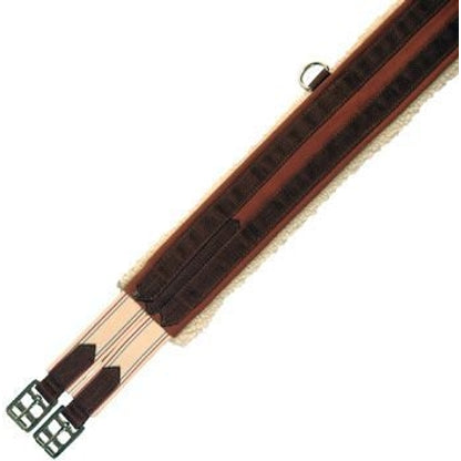 TH586981.jpg