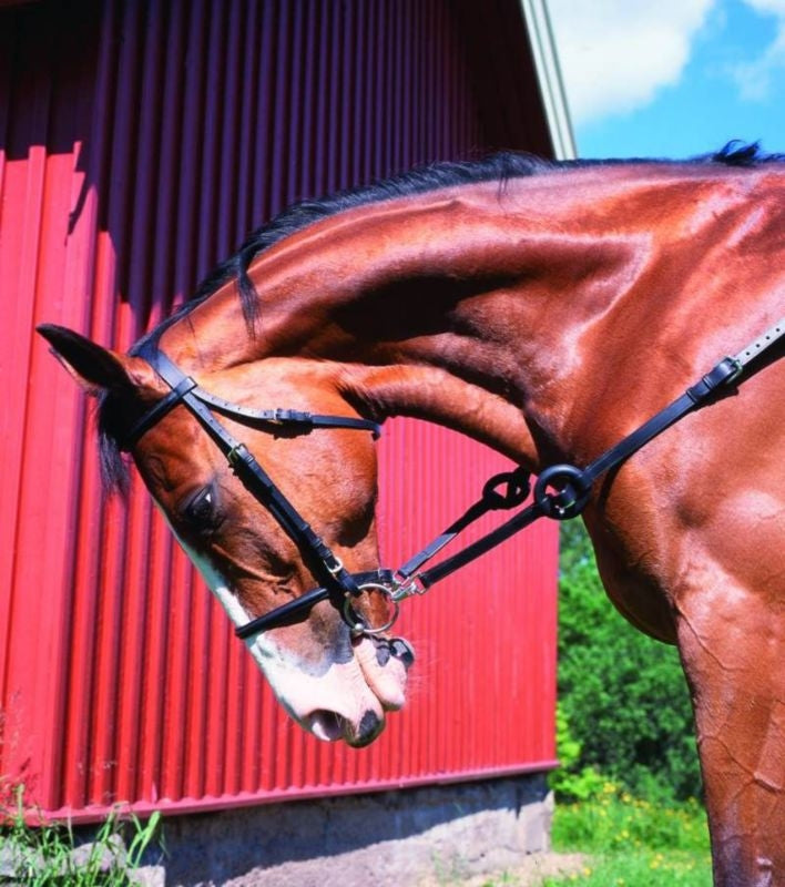 Horze Leather Side Reins With Rubber Donuts
