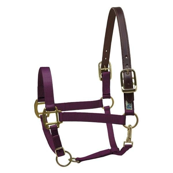 Perris Ribbon Safety Halter Mini B Hunter/Horsesho