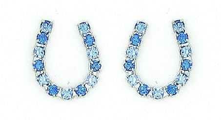 Finishing Touch Blue Rhinestone Hrsshoe Earrings