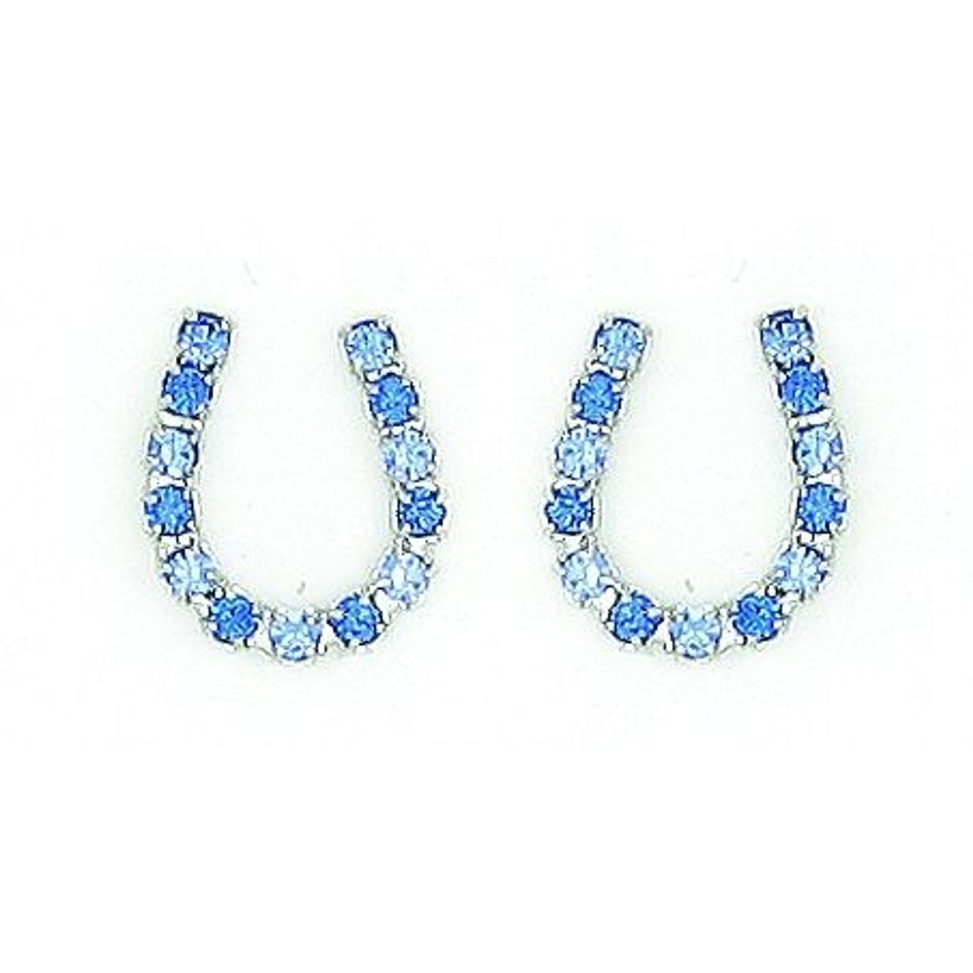 Finishing Touch Blue Rhinestone Hrsshoe Earrings