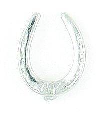 Horseshoe Number Sign Tack Pin Silver