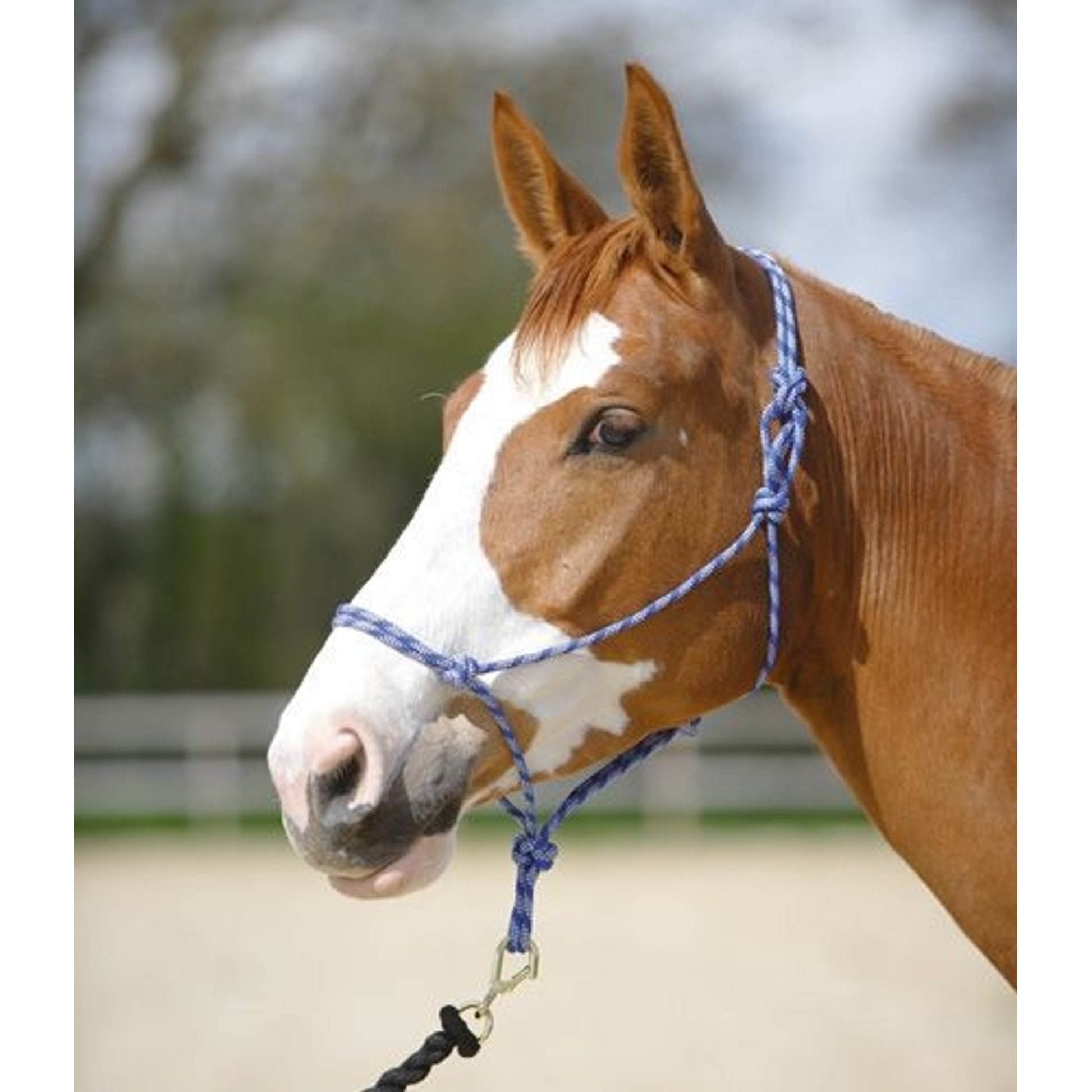 Rope Halter Navy White