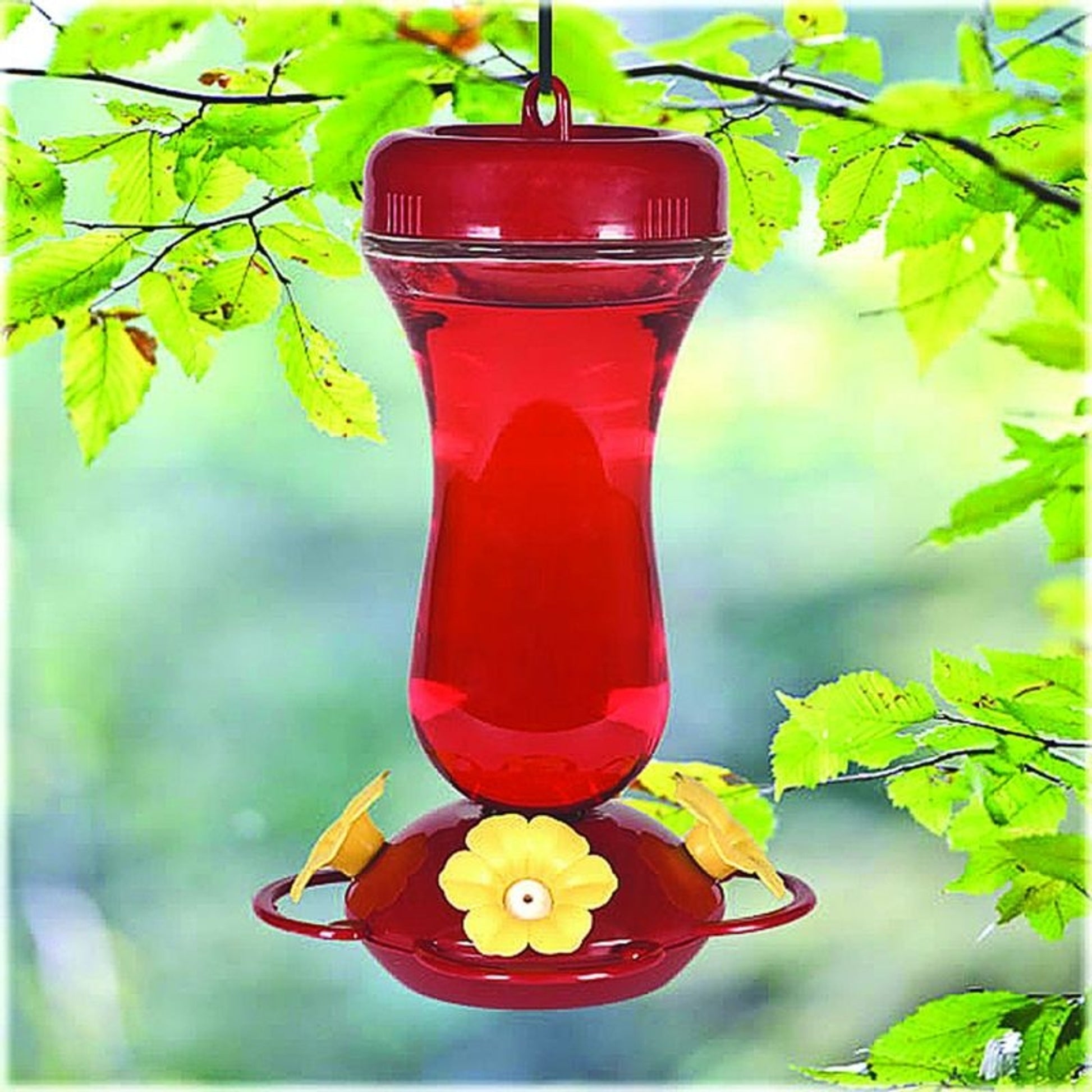 Perky Pet Glass Top Fill Hummingbird Feeder 16oz