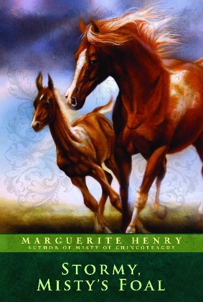 Stormy Mistys FoalBk/Wh